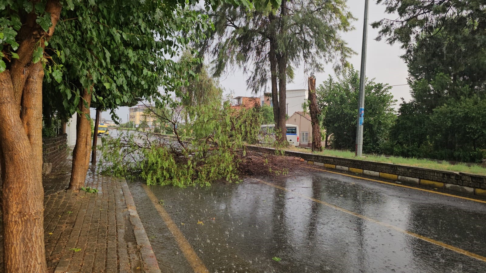 Aydın'a Dolu Yağdı (4)