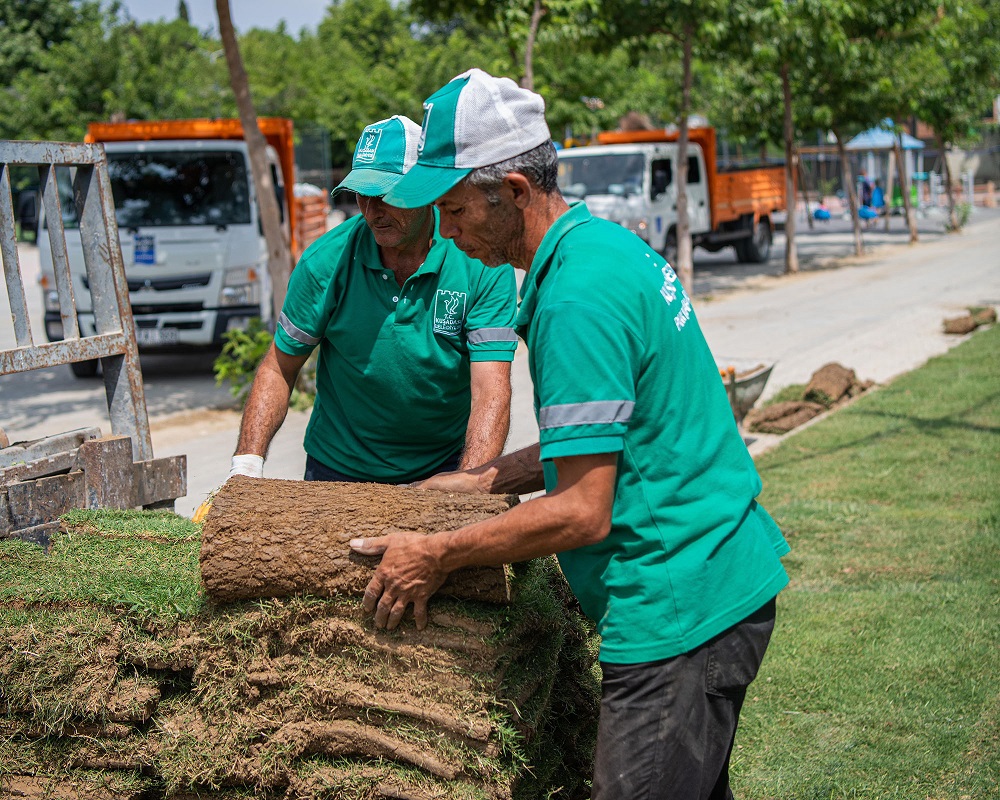 Kirazlı Peyzaj Çalışması (2)