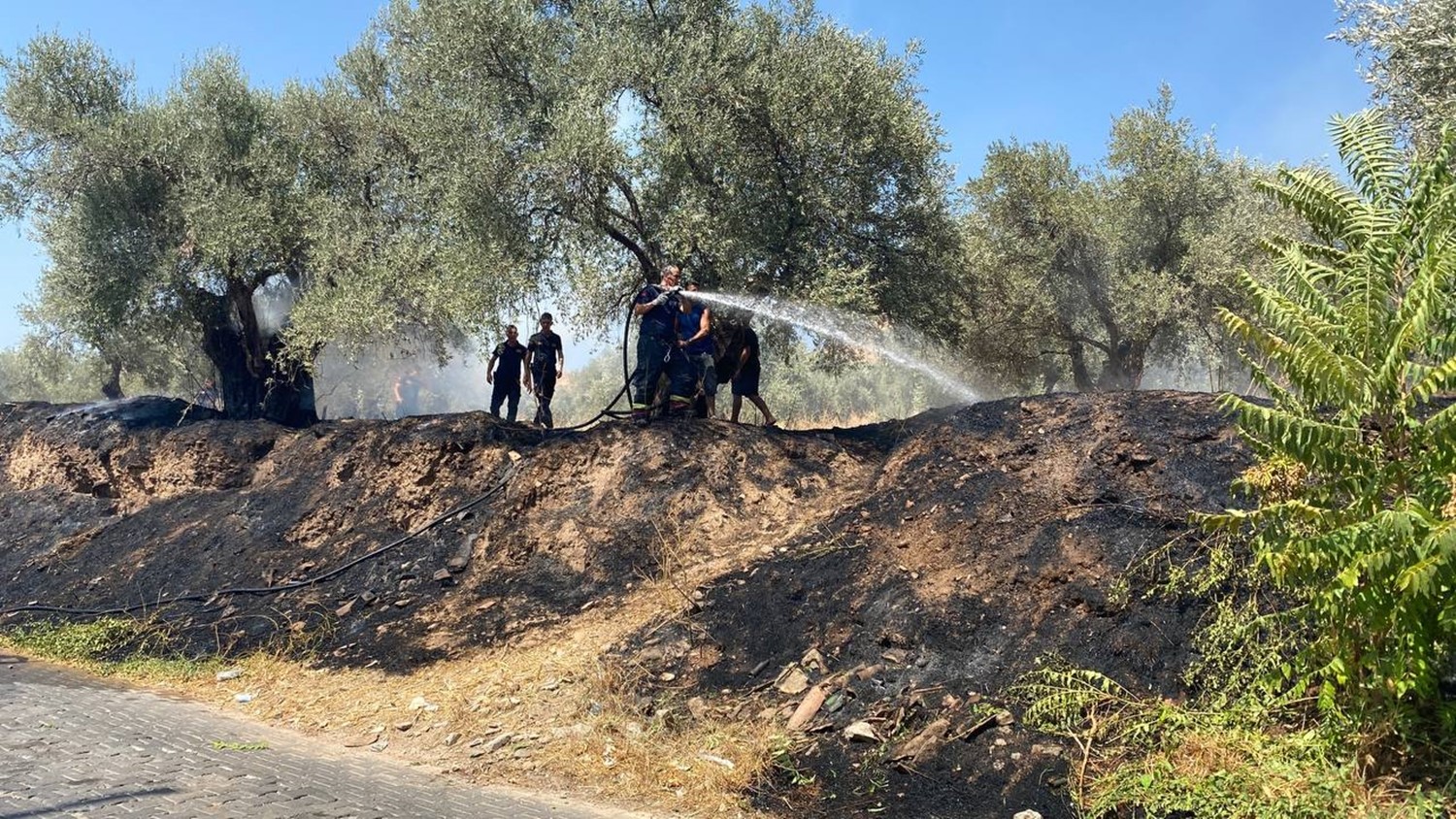 Aydın'da Tralleis Antik Kenti Yanacaktı (2)