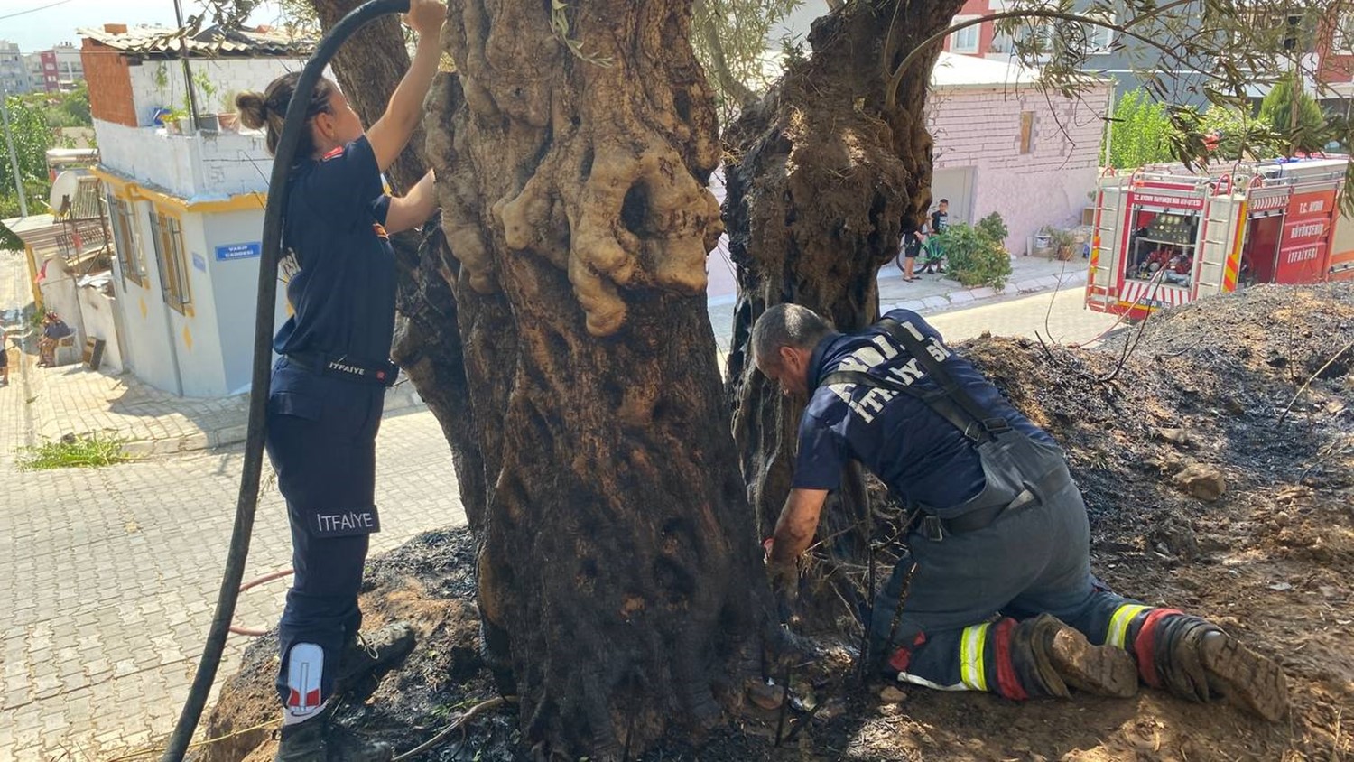 Aydın'da Tralleis Antik Kenti Yanacaktı (5)