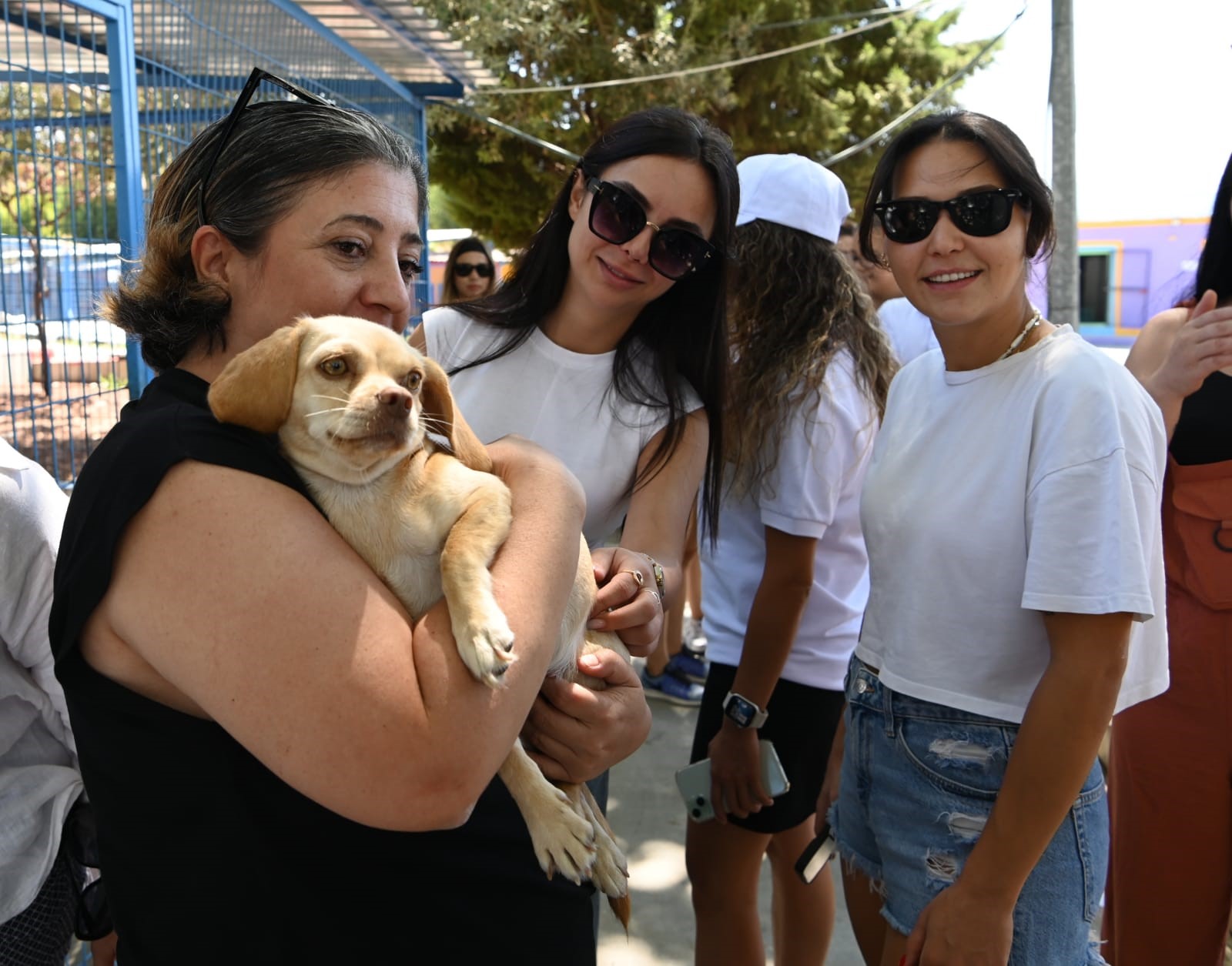 Kuşadası Belediyesi 18 Can Dostu Ömürlük Yuvasına Kavuşturdu (5)