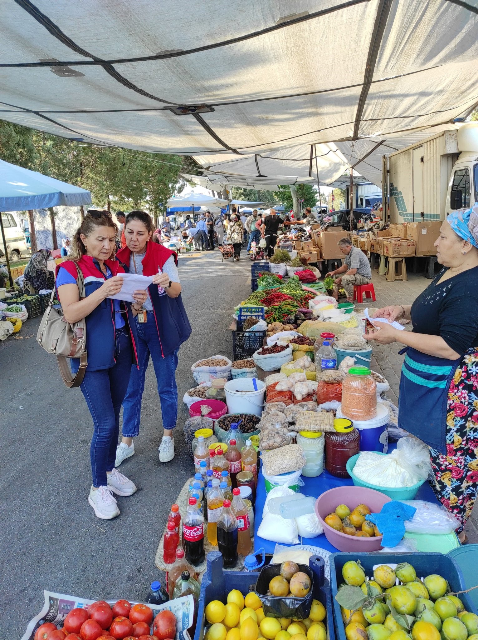 Aydın’da Zeytinyağı Alarmı (2)