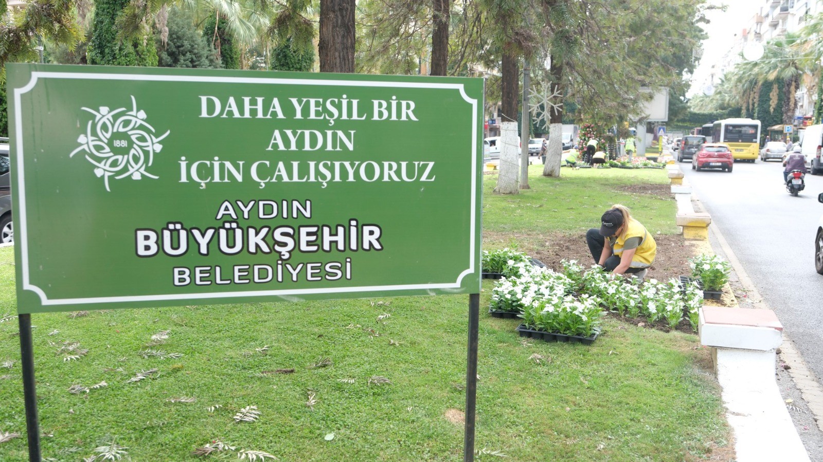 Başkan Çerçioğlu Aydın'ı Mevsimlik Çiçekler Ile Süslüyor (4)