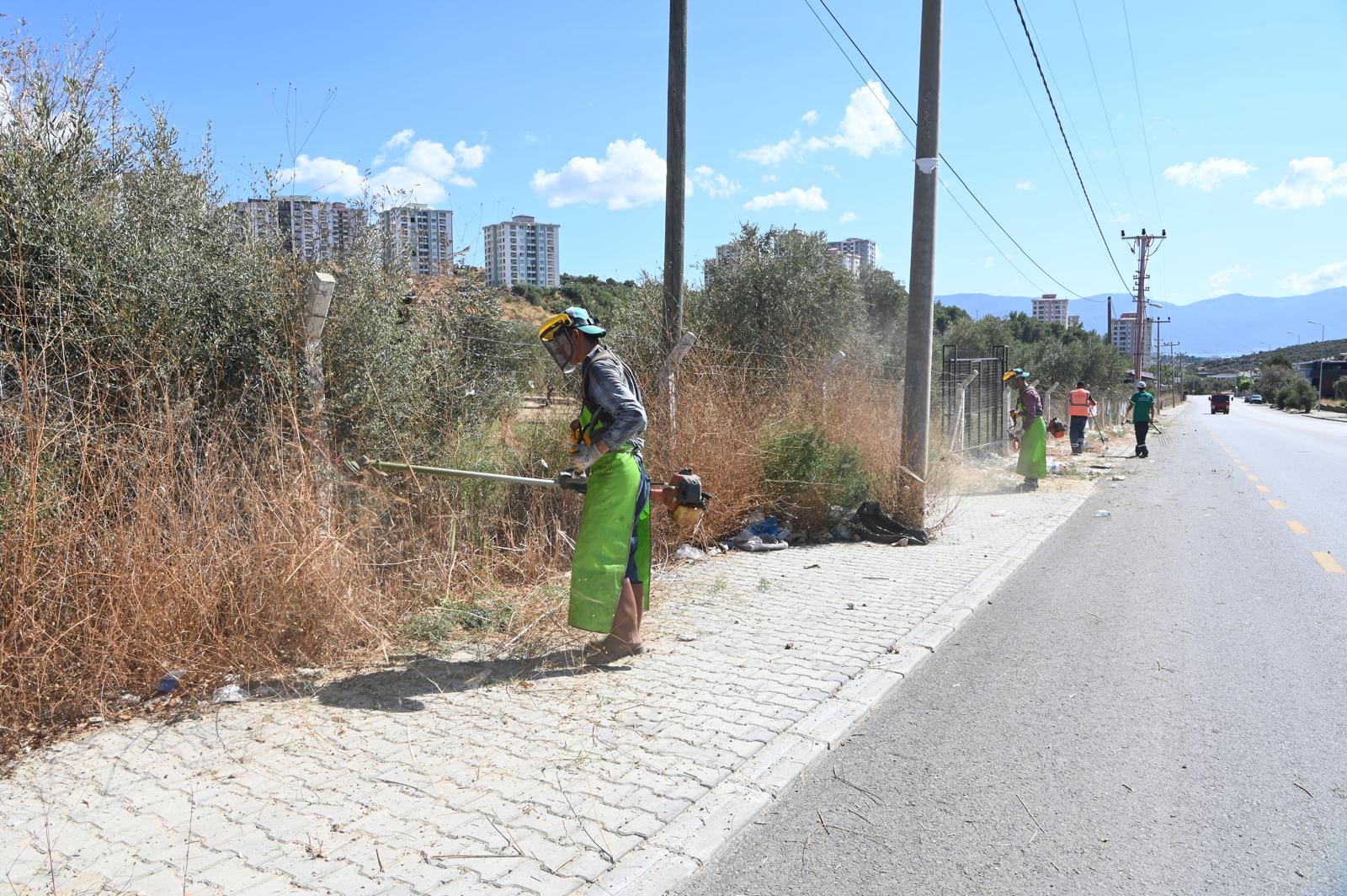 Değirmendere Ot Biçme Ağaç Budama (2)