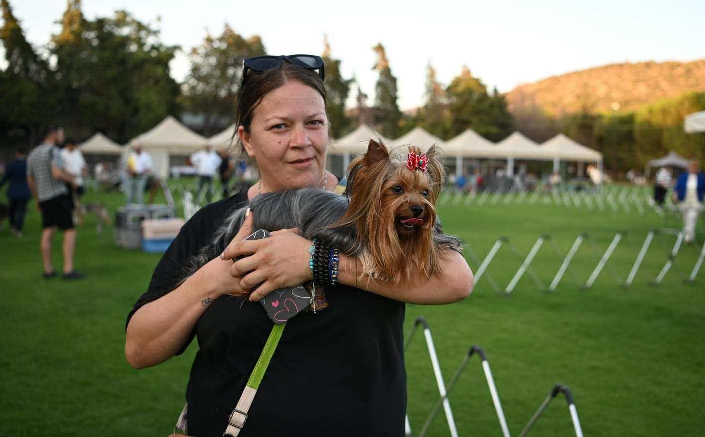 Köpek Irklari Yarisma 4