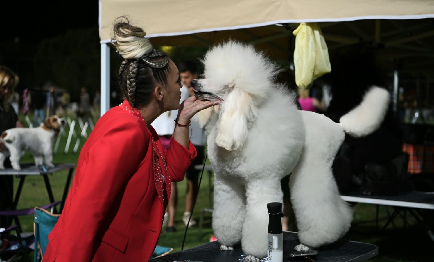 Kuşadası'nda Renkli Köpek Şöleni 'International Dog Show' Sona Erdi (5)