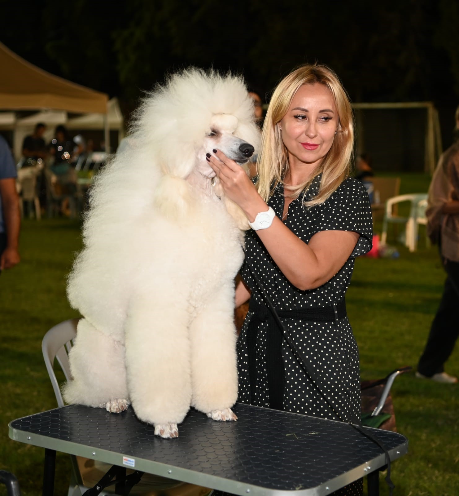 Kuşadası'nda Renkli Köpek Şöleni 'International Dog Show' Sona Erdi (6)