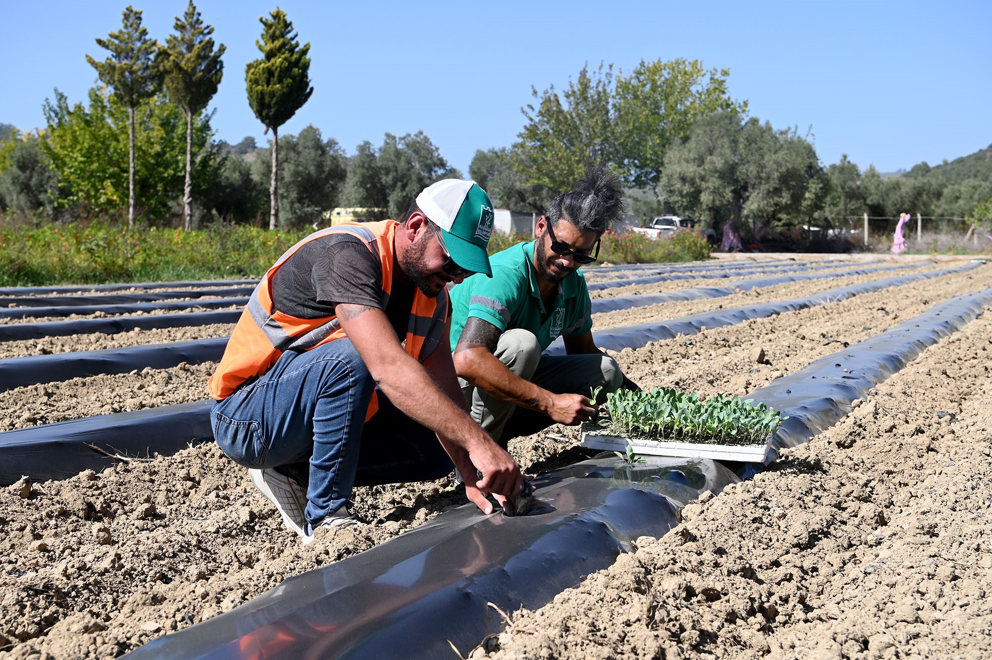 Adabahçe Bu Kış Da Sofralara Lezzet Ve Bereket Katacak (4)