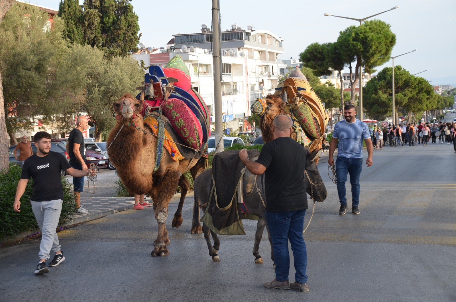 Didim Zeytin Festivali Başladı (3)