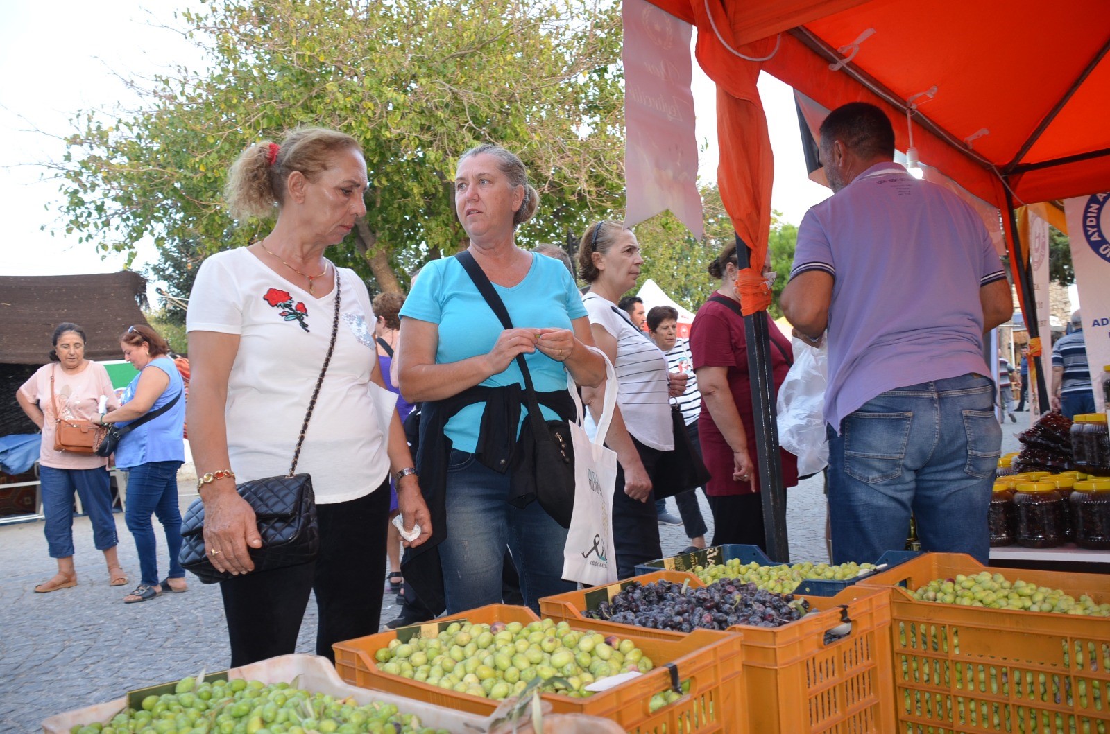 Didim Zeytin Festivali Başladı