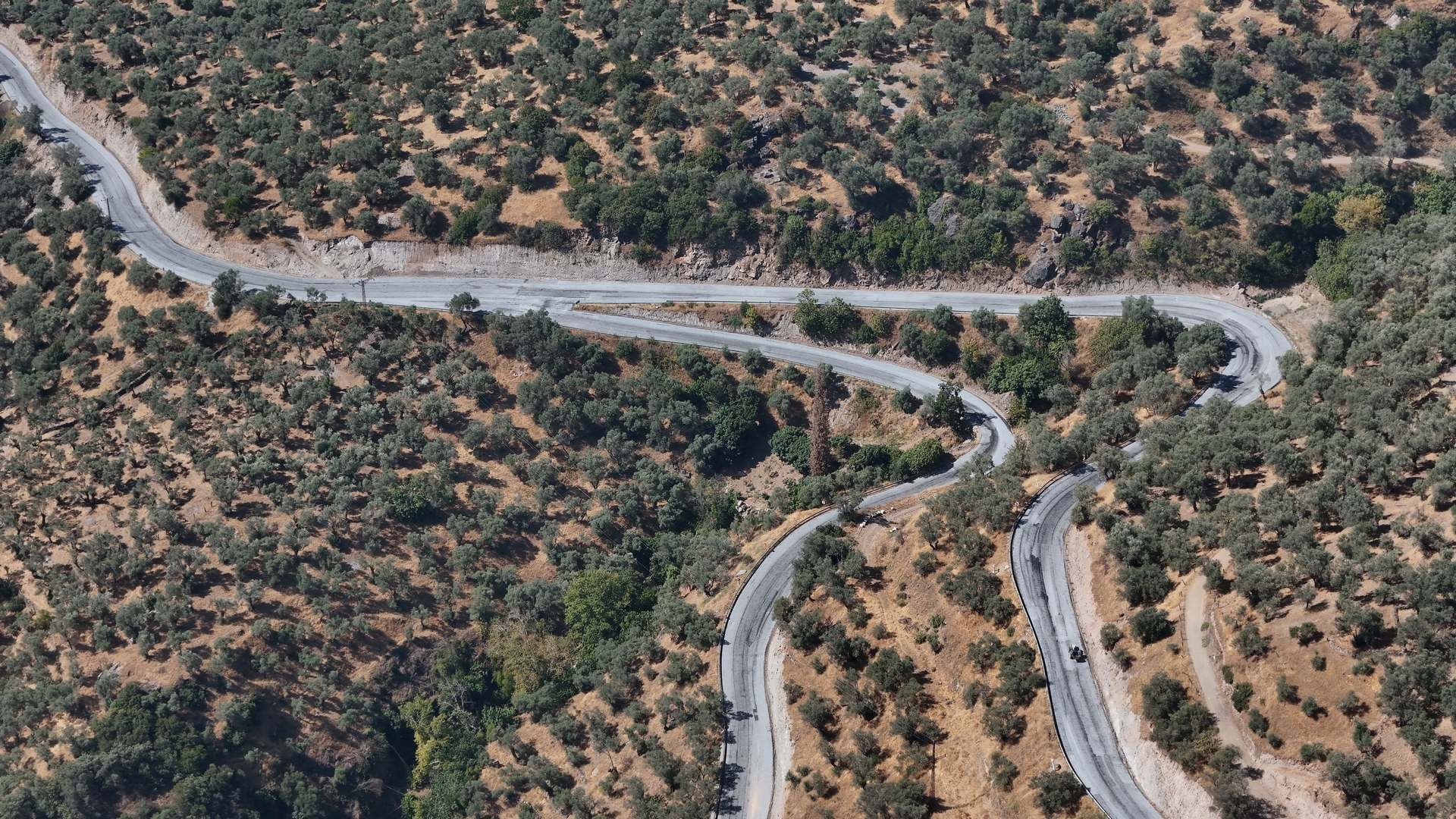 Fotoğraf (6) (2)-1