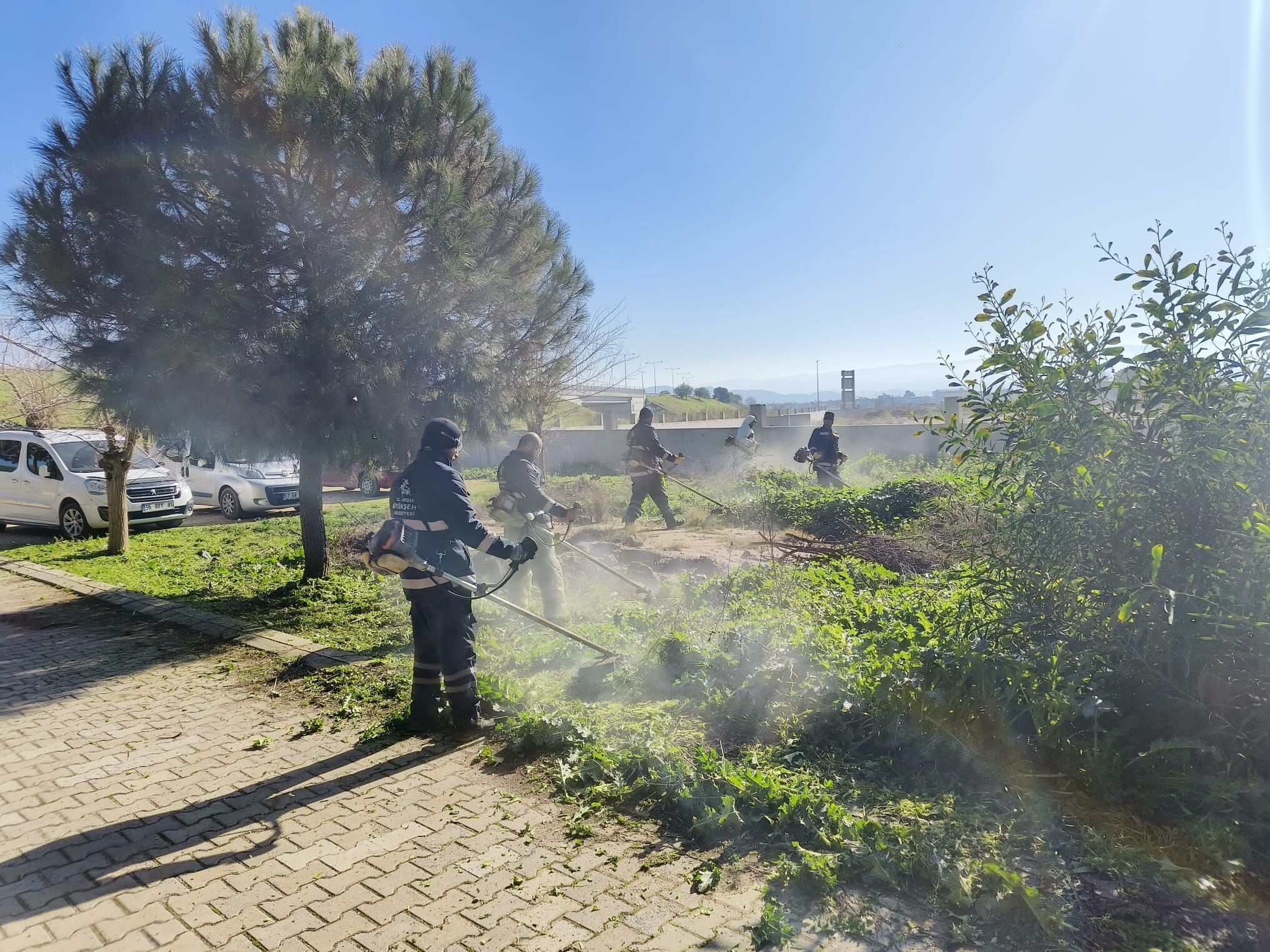 F O T O Ğ R A F9(9)