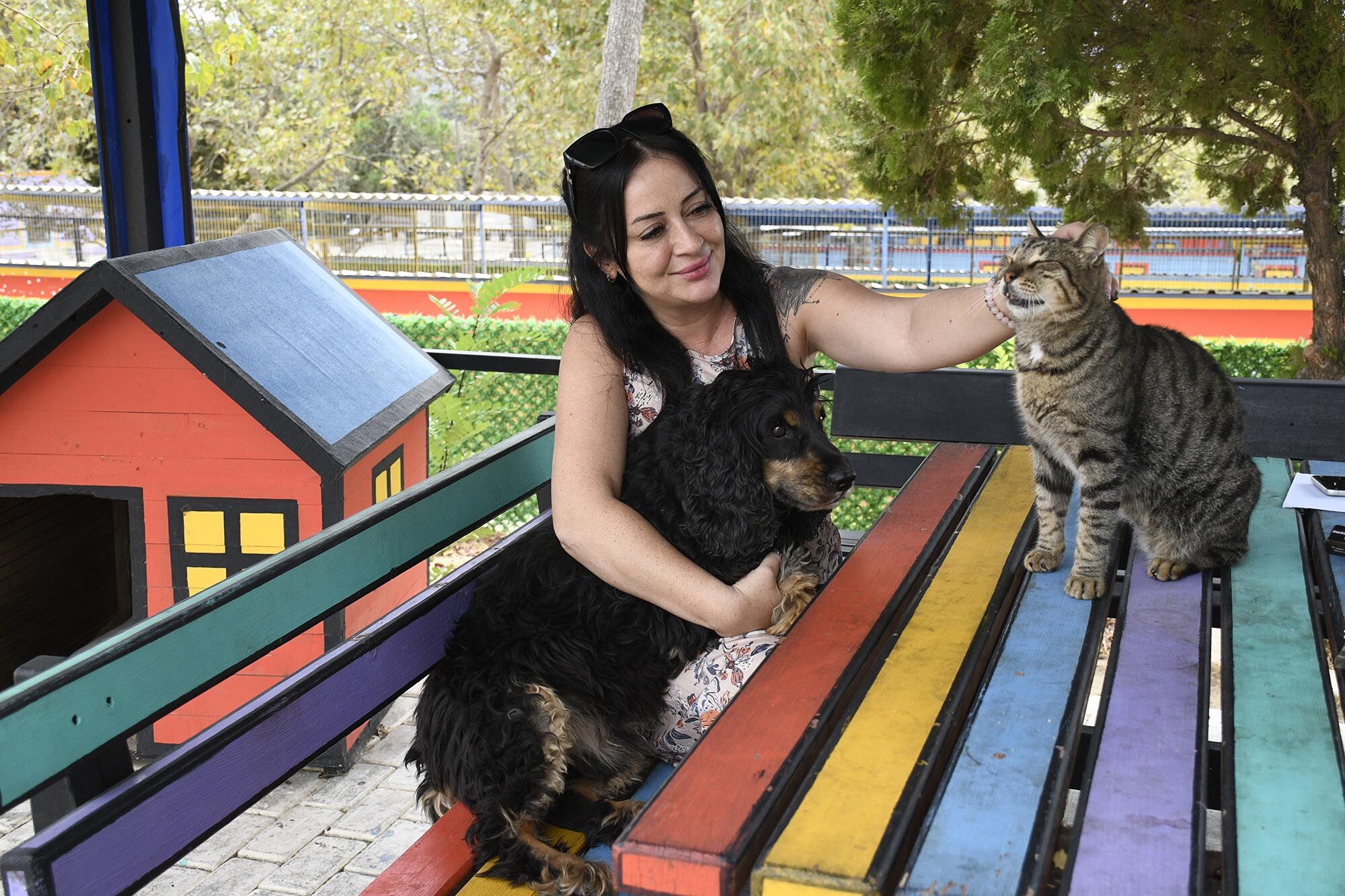 Kedi Kisirlastima (6)