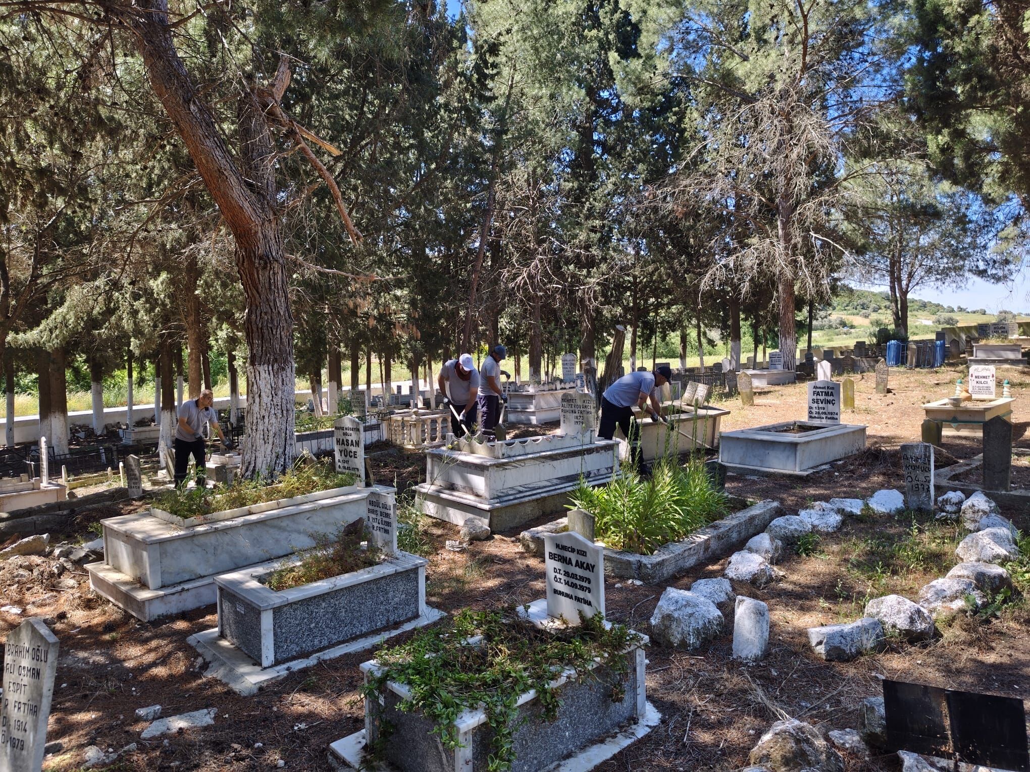 Fotoğraf (6) (4)-2