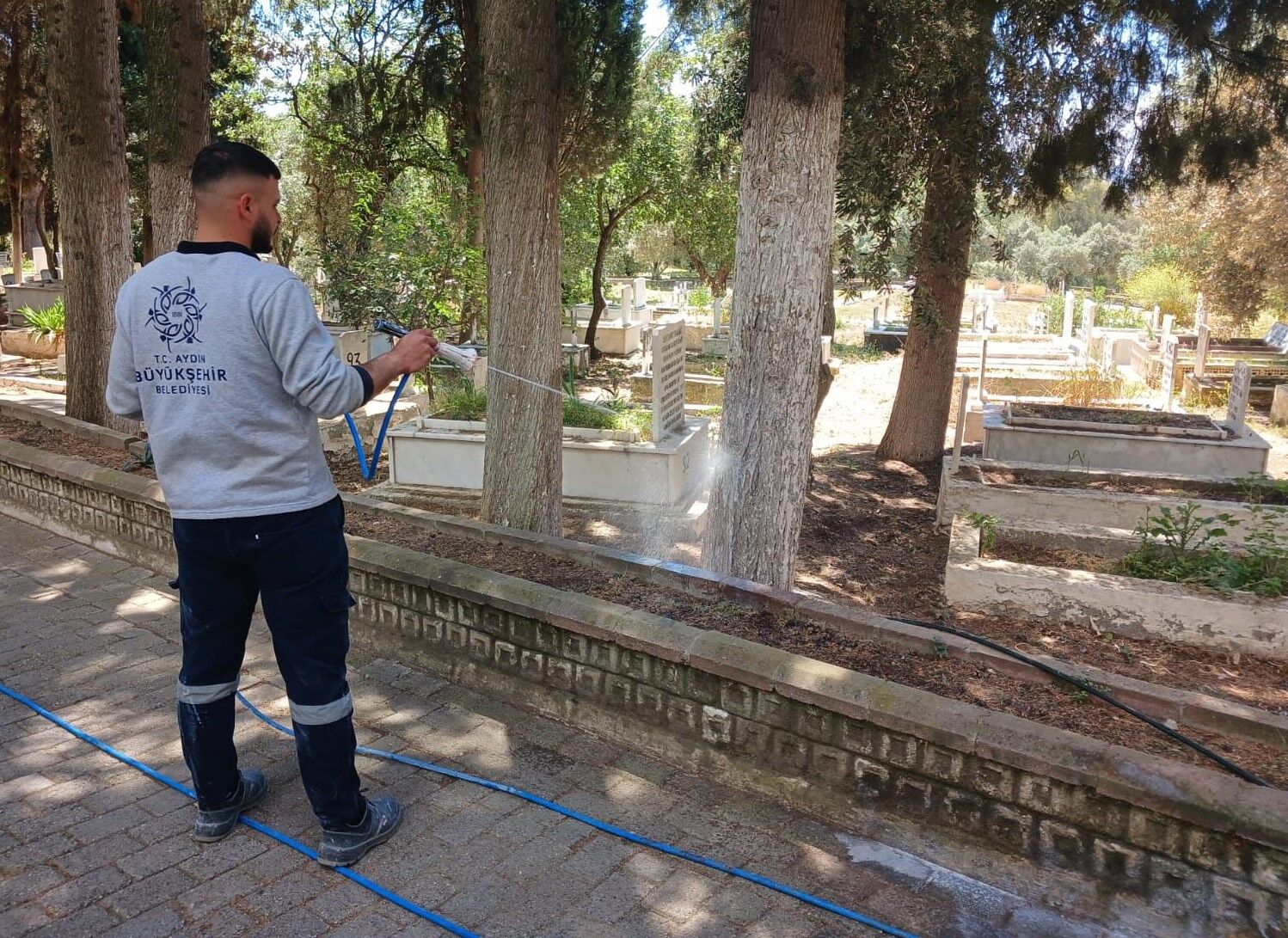Fotoğraf (7) (12)
