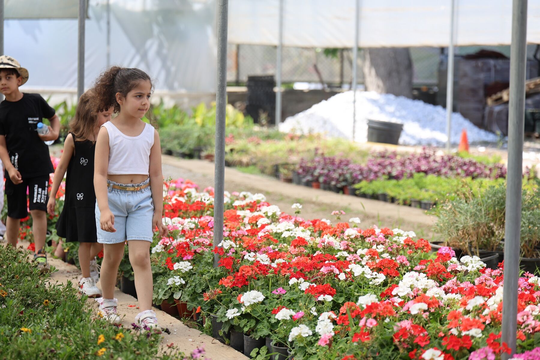 Fotoğraf (7)-21