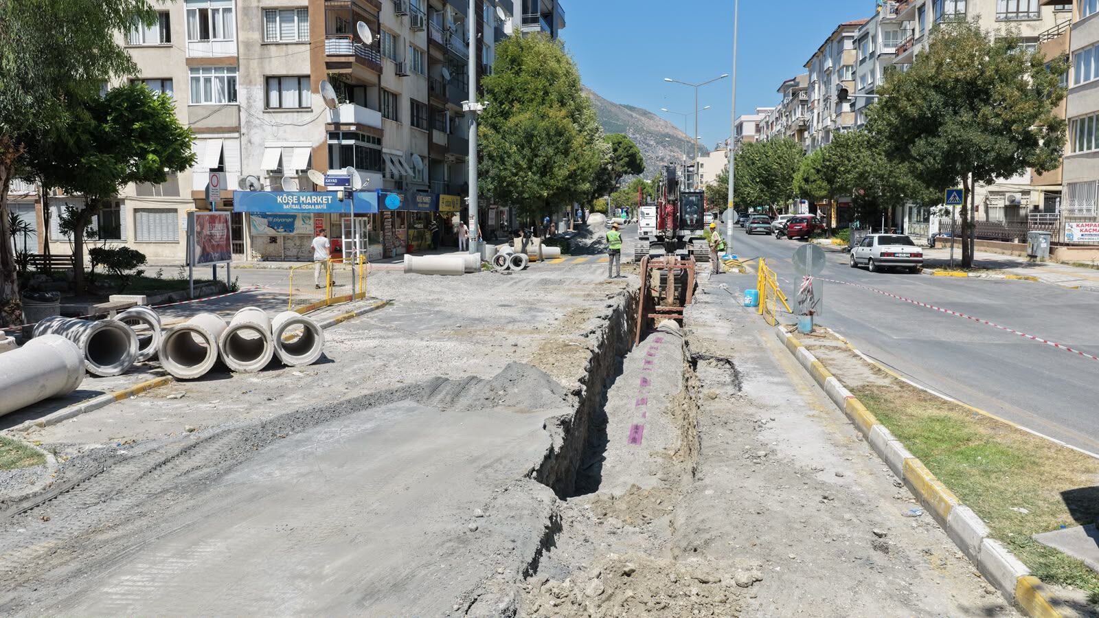 1000231273
