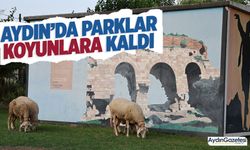 Aydın'da parklar koyunlara kaldı