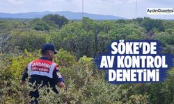 Söke'de av kontrol denetimi