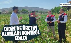 Didim'de üretim alanları kontrol edildi