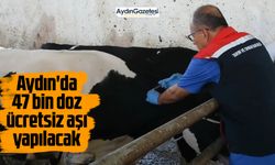 Aydın'da 47 bin doz ücretsiz aşı yapılacak