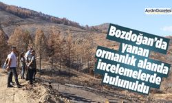 Bozdoğan’da yanan ormanlık alanda incelemelerde bulunuldu