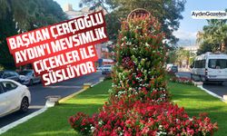 Başkan Çerçioğlu Aydın'ı mevsimlik çiçekler ile süslüyor