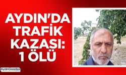 Aydın'da trafik kazası: 1 ölü