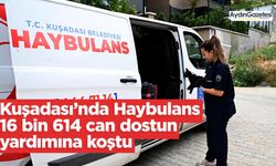 Kuşadası’nda Haybulans 16 bin 614 can dostun yardımına koştu