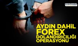 Aydın dahil 30 ilde Forex dolandırıcılığı operasyonu: 133 gözaltı