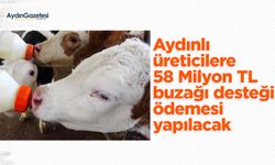 Aydınlı üreticilere 58 Milyon TL buzağı desteği ödemesi yapılacak