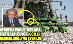 Aydın’da pamuk toplama fiyatları uçuyor, gözler Kendirlioğlu’na çevrildi