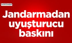 Jandarmadan uyuşturucu baskını: 1 gözaltı