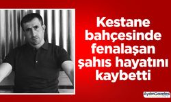 Kestane bahçesinde fenalaşan şahıs hayatını kaybetti