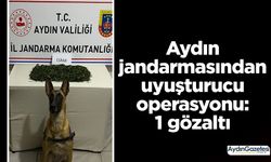 Aydın jandarmasından uyuşturucu operasyonu: 1 gözaltı