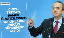 CHP’li Tezcan, pamuk üreticilerinin sorunlarını Meclis gündemine taşıdı