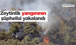 Zeytinlik yangınının şüphelisi yakalandı