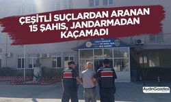 Çeşitli suçlardan aranan 15 şahıs, jandarmadan kaçamadı