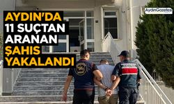 Aydın'da 11 suçtan aranan şahıs jandarma ekiplerince yakalandı