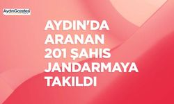 Aydın'da aranan 201 şahıs jandarmaya takıldı