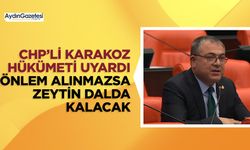 CHP’li Karakoz hükümeti uyardı: Önlem alınmazsa zeytin dalda kalacak