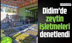 Didim'de zeytin işletmeleri denetlendi