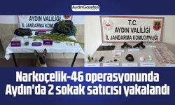 Narkoçelik-46 operasyonunda Aydın'da 2 sokak satıcısı yakalandı