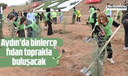 Aydın’da binlerce fidan toprakla buluşacak