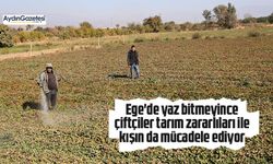 Ege'de yaz bitmeyince çiftçiler tarım zararlıları ile kışın da mücadele ediyor