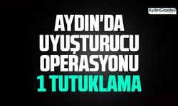 Aydın'da uyuşturucu operasyonu: 1 tutuklama