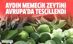 Aydın Memecik Zeytini Avrupa'da tescillendi