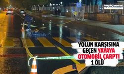 Yolun karşısına geçen yayaya otomobil çarptı: 1 ölü