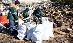 Kuşadası’nda ağaç atıkları ihtiyaç sahipleri için yakacağa dönüşüyor