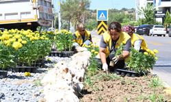 Büyükşehir'in çalışmaları Nazilli’ye değer katıyor